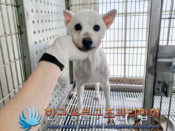 한국동물구조관리협회_411311202300385